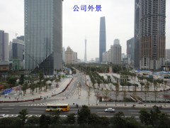 黄埔报关行，南沙报关行