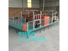 厂家现货供应复合漏粪板母猪分娩产床图2