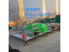塑料板双体母猪分娩产床厂家咨询/亨特畜牧图3
