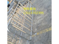 普通管定位栏养殖设备厂家出售图3