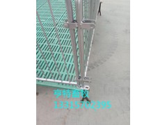 复合漏粪板双体仔猪保育床厂家咨询图2