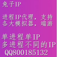 兔子进程代理Ip-全面支持模拟器,端游,QQ,YY等