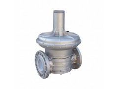 马达斯RG/2MC燃气减压阀皮膜图2