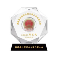 重庆杰出人大代表纪念品-奖励给换届荣退的人大代表的奖品纪念品