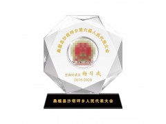 重庆杰出人大代表纪念品-奖励给换届荣退的人大代表的奖品纪念品图4