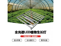 LED植物灯图3