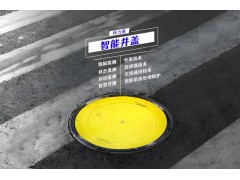 智能井盖防入侵监测系统的安全防护标准解读图3